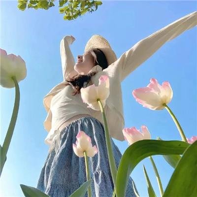 伤物语2:热血篇